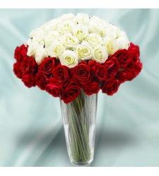 48 Red Roses and White Roses in Vase