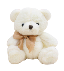 White Color Small Size Teddy Bear