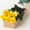 send 6 yellow roses in box to cebu in philippines