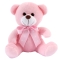 8" Inch Pink Teddy Bear